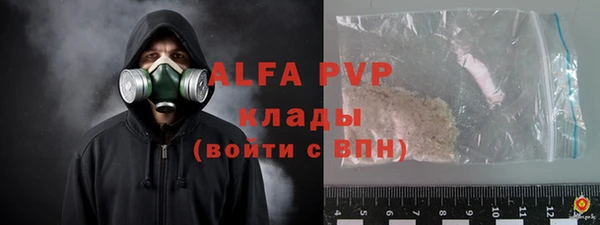 ГАЛЛЮЦИНОГЕННЫЕ ГРИБЫ Корсаков
