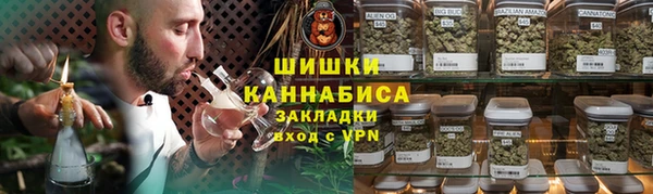 ГАЛЛЮЦИНОГЕННЫЕ ГРИБЫ Корсаков