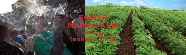 a pvp Коряжма