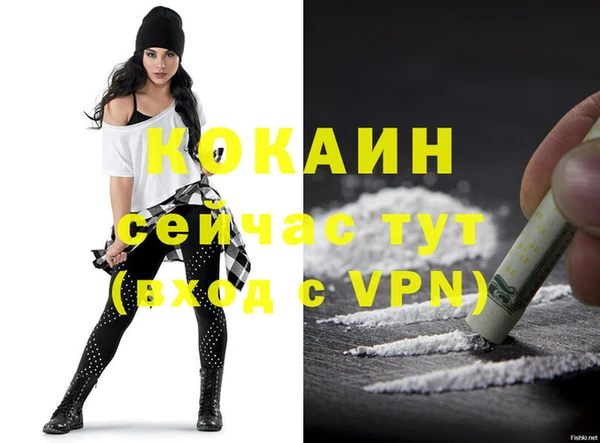 a pvp Коряжма