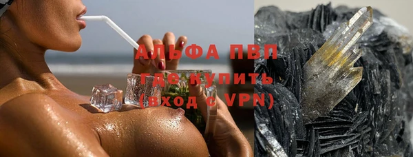 a pvp Коряжма